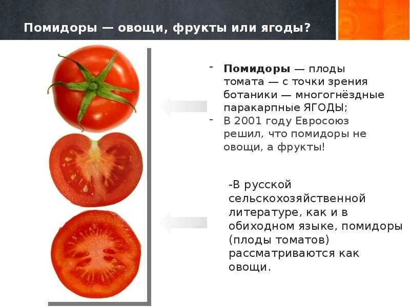 Томат или помидор однолетнее или многолетнее травянистое. Помидор это ягода или овощ или фрукт. Томат это ягода или овощ. Как называется плод у растения томат. Плод томата ягода.