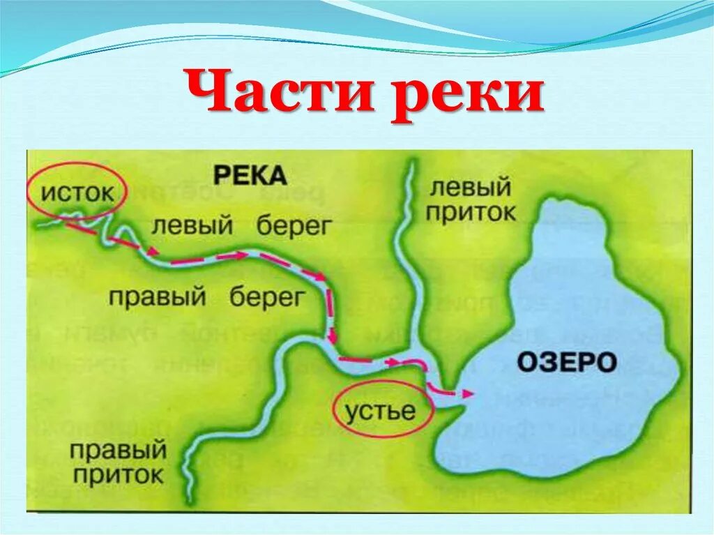 Схема части реки 2 класс окружающий мир рисунок. Окружающий мир 2 класс река Устье Исток. Схема Исток и Устье реки 2 класс. Схема реки Исток приток Устье.