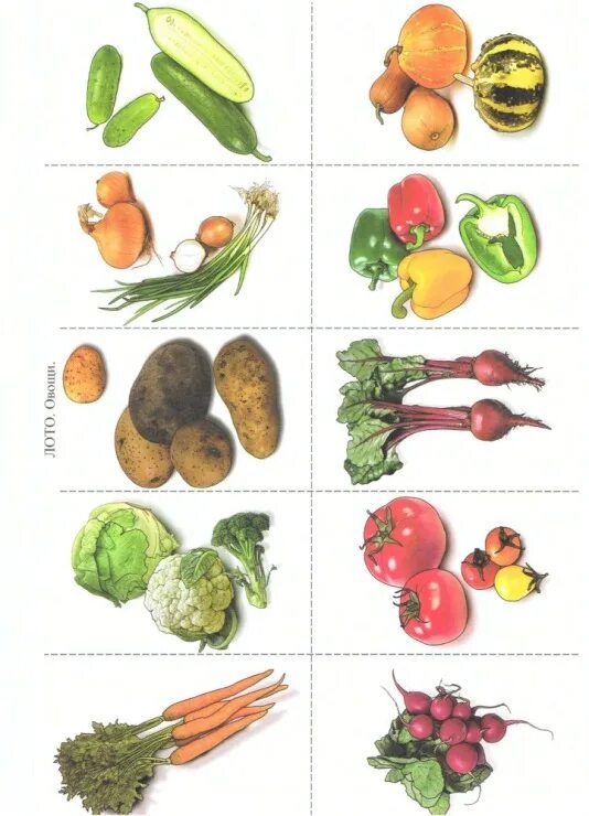 овощи картинки для детей Gardening for kids, Vegetables, Teaching weather