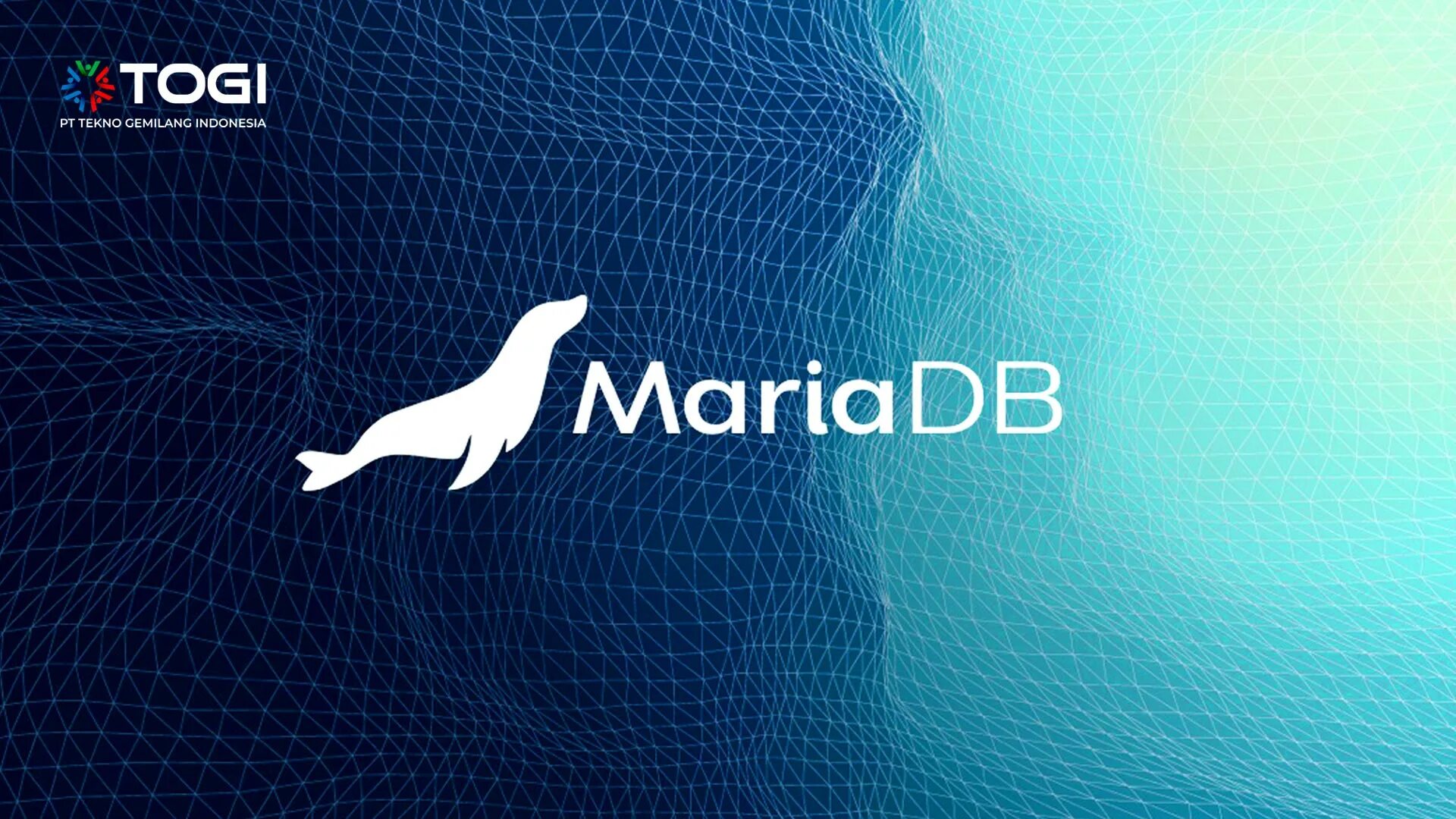 Mariadb что это. СУБД MARIADB. МАРИЯДБ. MARIADB logo. Maria database.