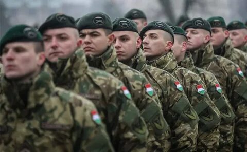 Войска венгрии