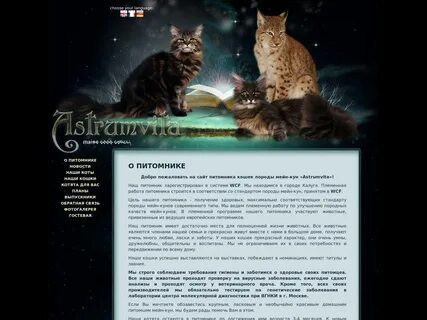 Описание характера мейн куна