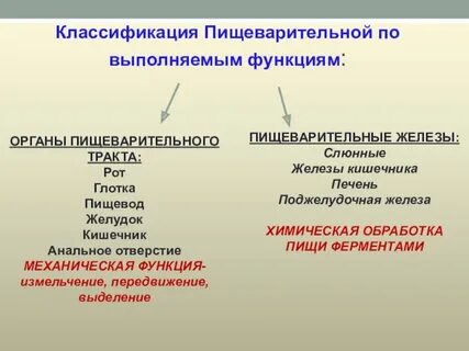 Классификация системы органов