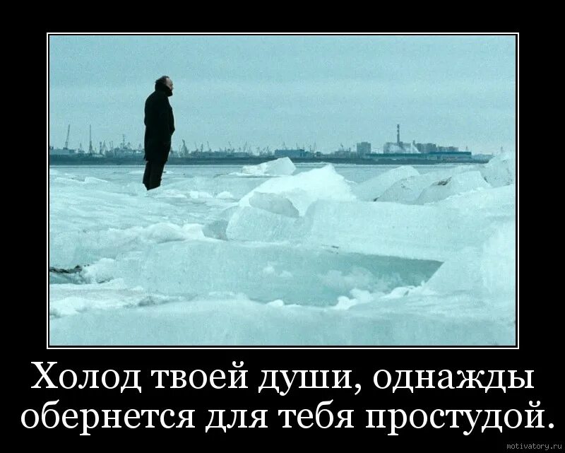 Зимний мопс. Ваш холод. Рекламная кампания адидас. Стих когда на лице твоем холод. Ваш холод.