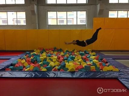 Мартышка гусь