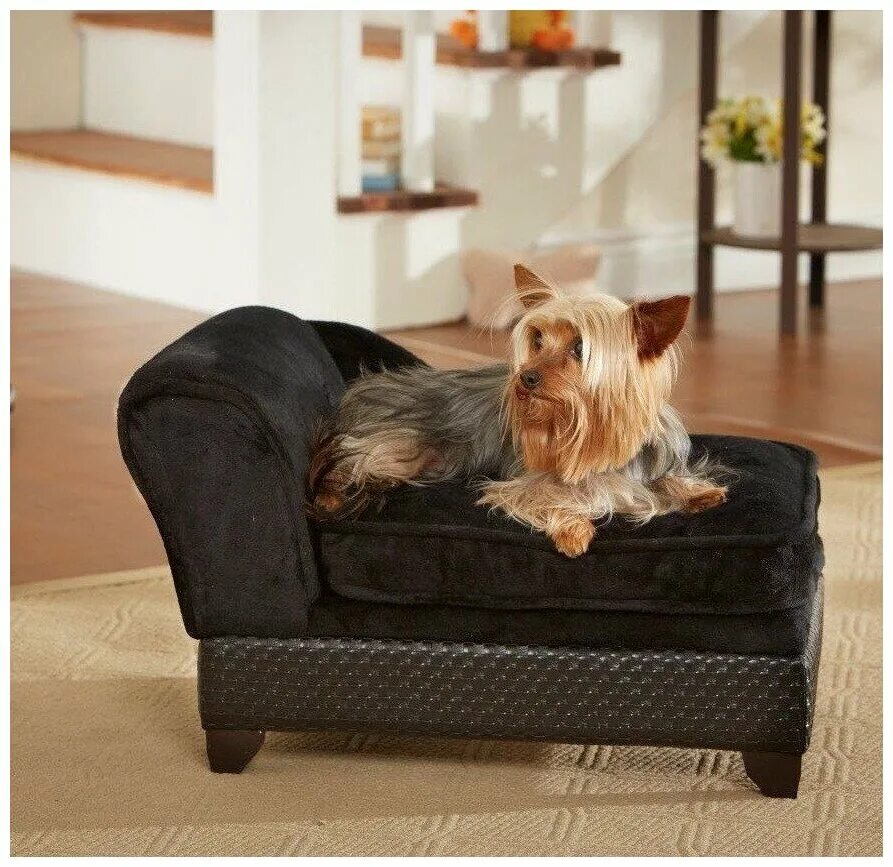 Собака люкс. Собачья кровать. Бернский зенненхунд породы собак. Люкс собака. Люкс собака.