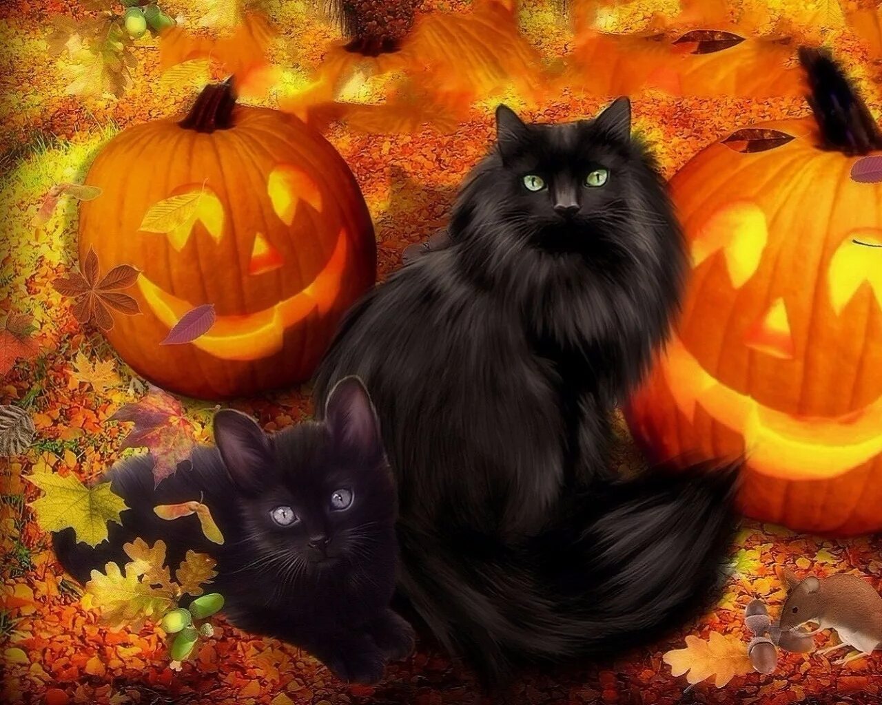 Коты воители хэллоуинское обновление. Черный кот Хэллоуин. Черные коты на Хэллоуин. Тыква открытка. Открытка "Halloween"