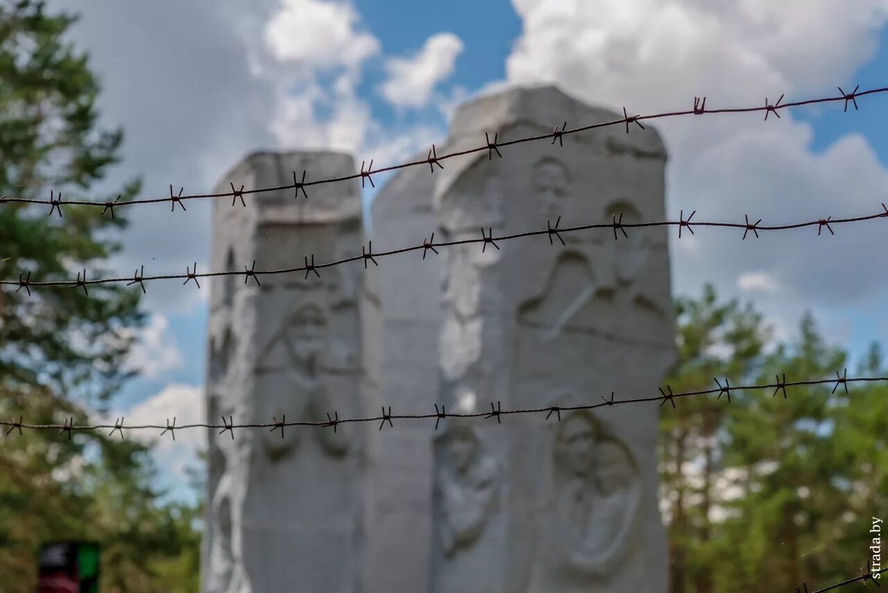 Озаричи мемориальный комплекс. Озаричи концентрационный лагерь. Озаричский лагерь смерти мемориал.