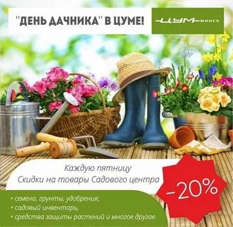 День дач