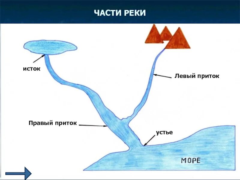 Как образуется приток. Схема реки исток русло устье. схема реки исток приток устье. река исток приток устье рисунок. части реки исток русло.