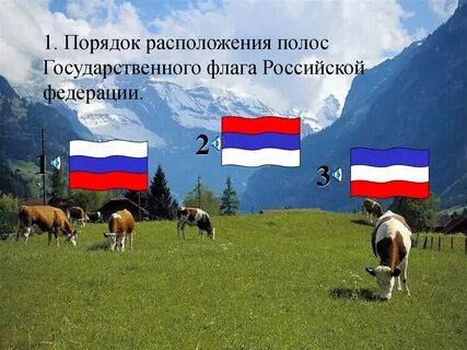 Порядок расположения цветов на флаге