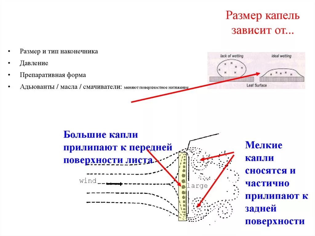 Размер капель. Размер капли физика. Зависимость размера капли от размера отверстия. Примерный размер капли. Размер капли воды