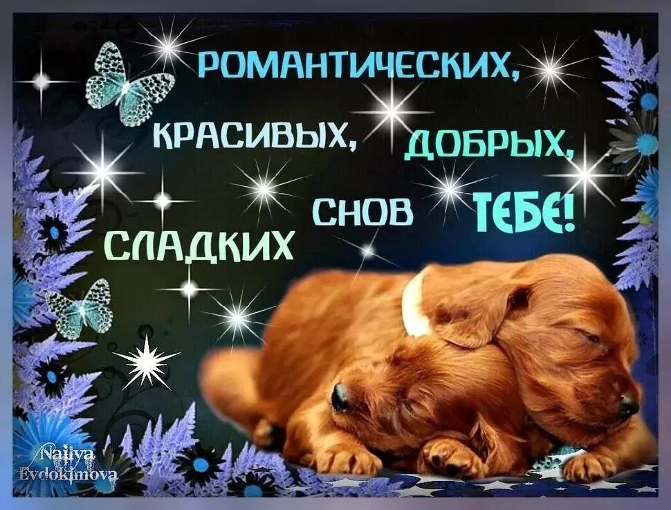 Подарить доброй ночи. Открытки спокойной ночи. доброй ночи сладких снов. открытки спокойной ночи сладких снов. открытки доброй ночи сладких снов.