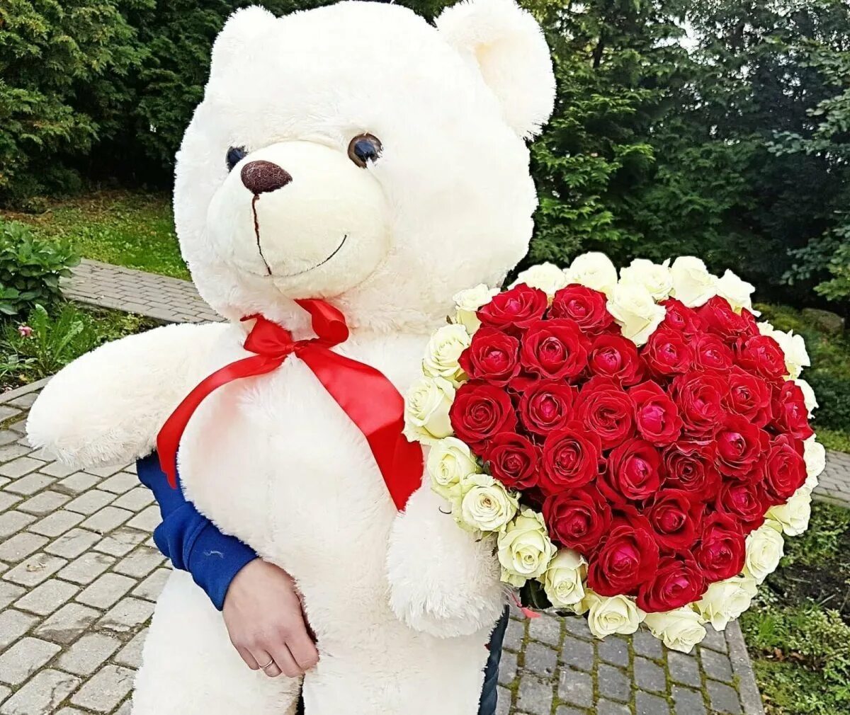101 роза и медвежонок #герберы #розы #цветы #букет #пионы . Flickr
