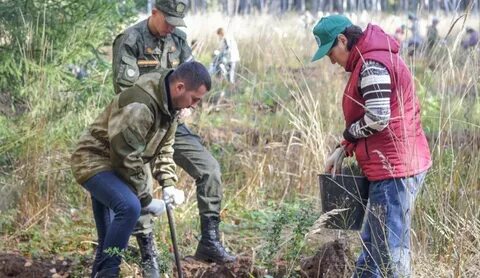 Окружающая среда удмуртской республики