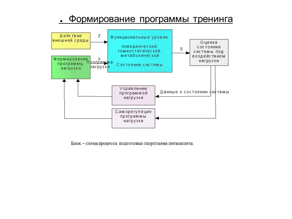 Формирующая программа. Формирование программа. развитие программного обеспечения. структура программы тренинга. процесс создания программ.