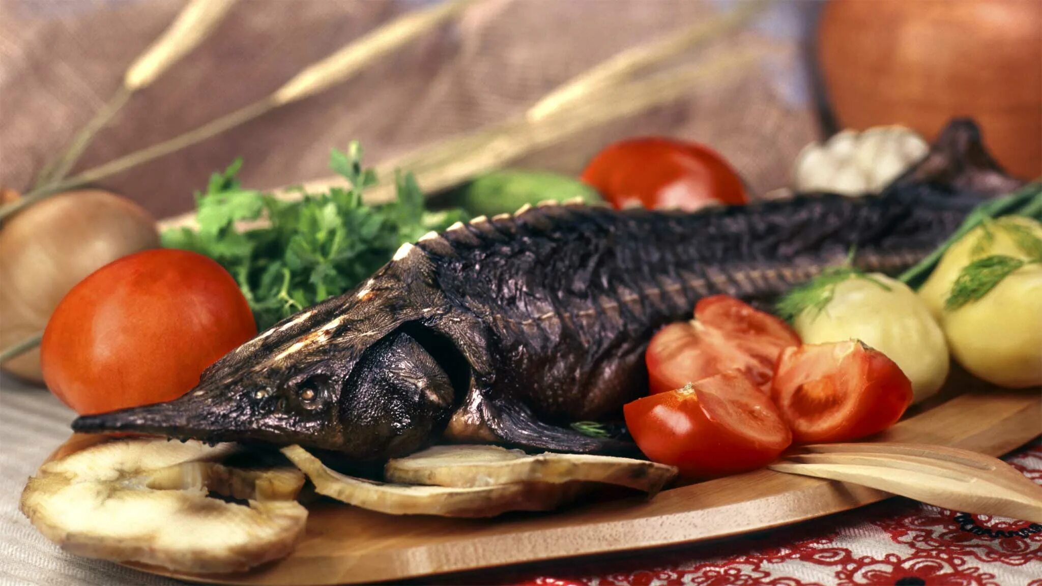 копченая рыба осетрина. осетрина царская рыба. осетрина горячего копчения. осетр царская рыба. осетрина царская рыба.