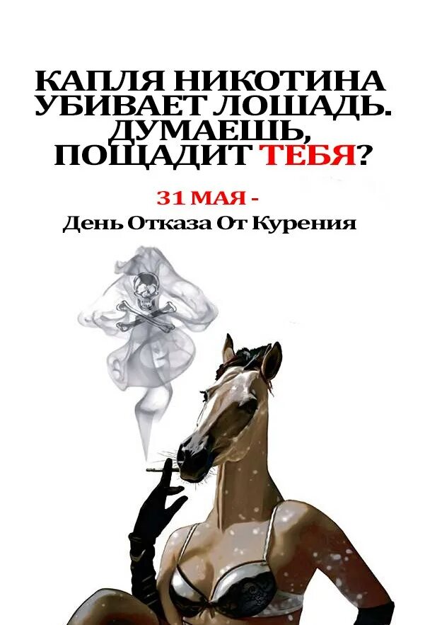 Мертвая лошадь во сне к чему. К чему снится убитая лошадь. Лошадь во сне к чему снится. Лошадь валяется. Лошадь спит.