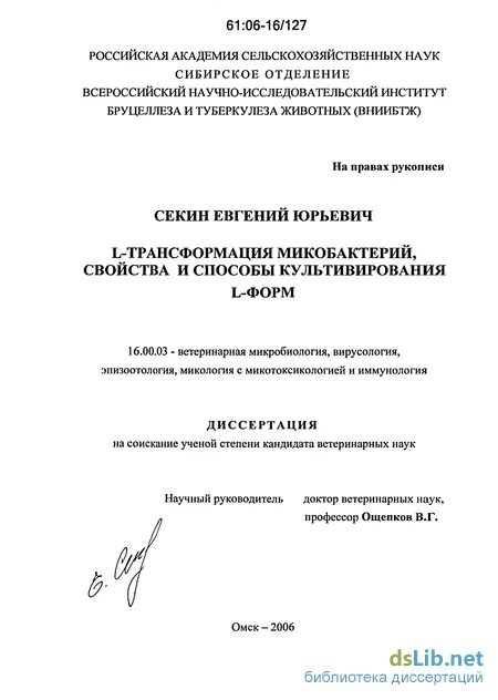 Диссертация трансформация. Как написать автореферат. Диссертация трансформация. Диссертация трансформация. Как пишется автореферат.