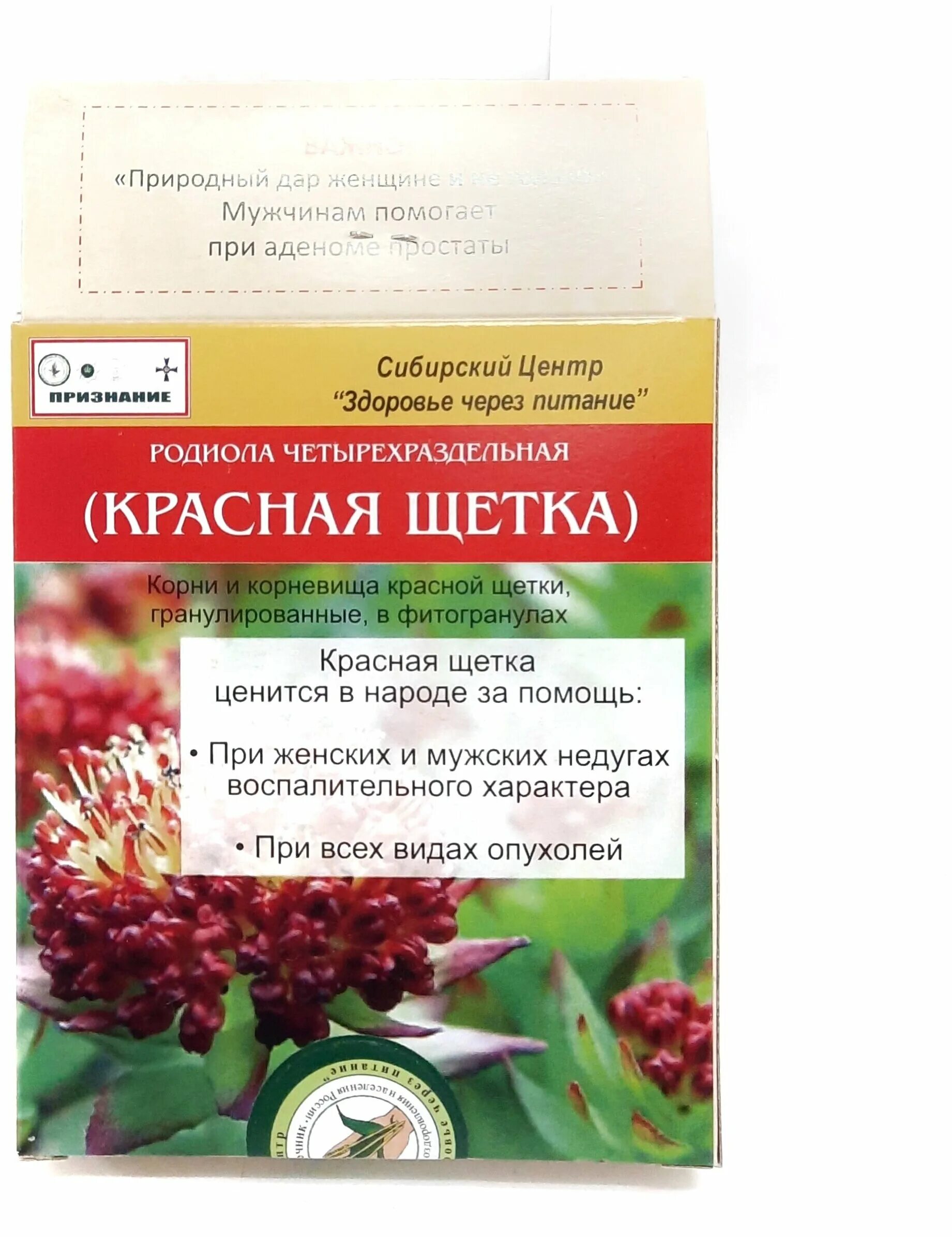 родиола четырехчленная красная щетка растение. фито сироп "красная щетка" 250мл. красная щетка для чего. женская травка красная щетка. красная щетка алтай фарм.