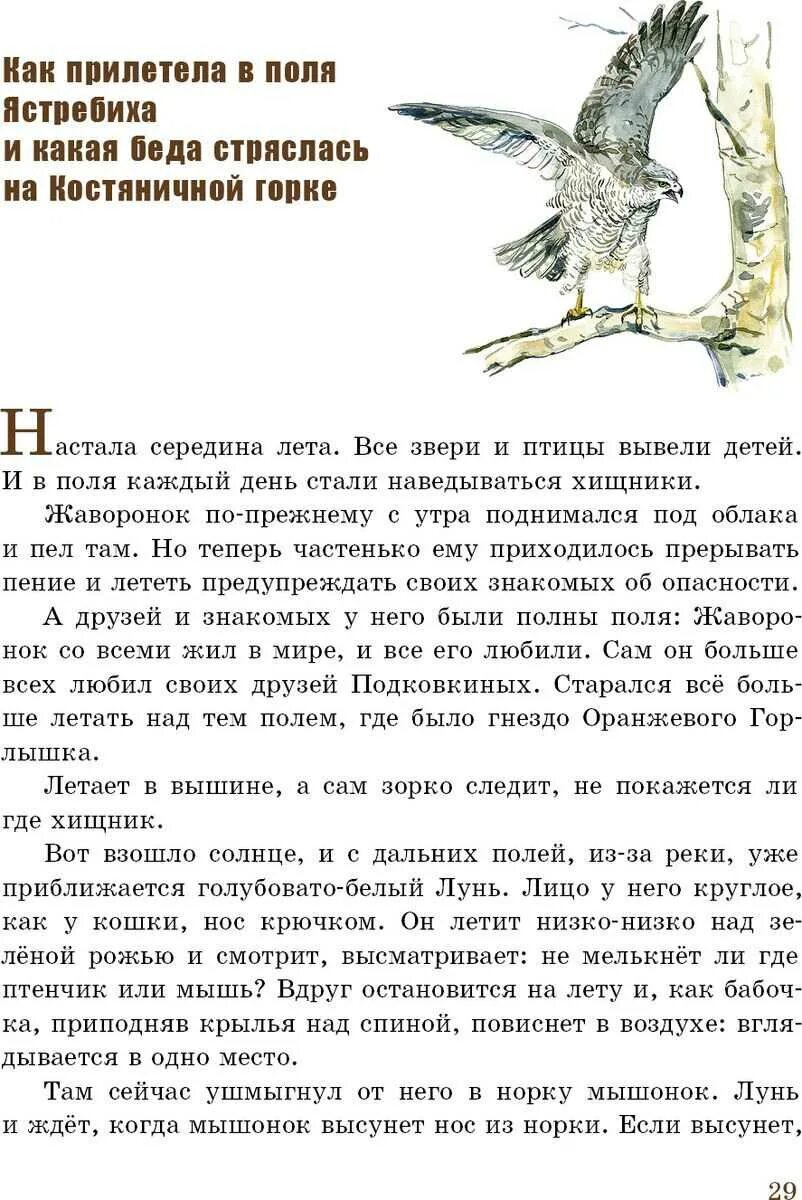 В в бианки оранжевое горлышко мурзук. Оранжевое горлышко бианки читательский дневник 4 класс. Оранжевое горлышко бианки читательский дневник 4 класс. Бианки оранжевое горлышко издательство художник. Оранжевое горлышко мурзук.