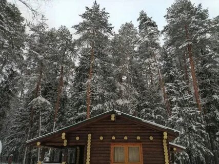 Домики в лесу снять пермь