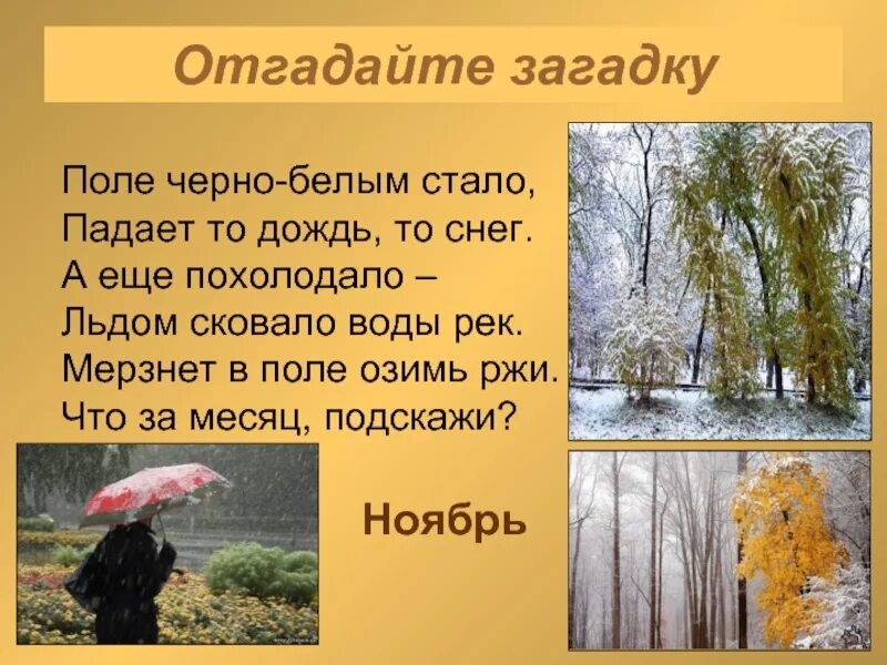 Октябрь какой почему