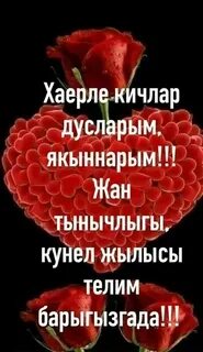 Дусларым дускайларым