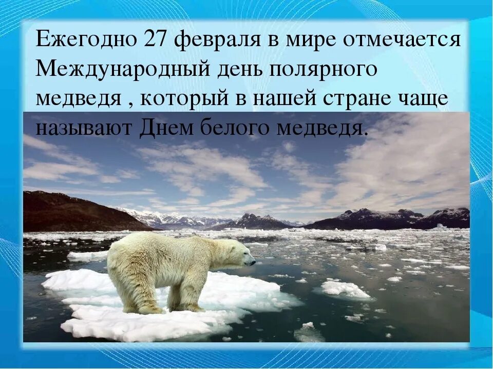 День полярного медведя презентация. День белого медведя. Белый полярный медведь презентация. 27 февраля день полярного мед. Международный день полярного (белого) медведя.