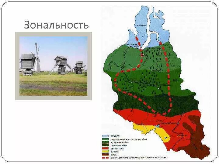 Природные зоны Западной Сибири. Природные зоны Западно сибирской равнины. Природные зоны Западно сибирской равнины на карте. Природные зоны Западной Сибири карта. Природные зоны сибирской равнины 8 класс