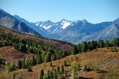 Горная тропа алтай