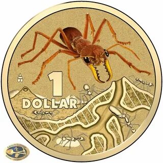 Ant монета