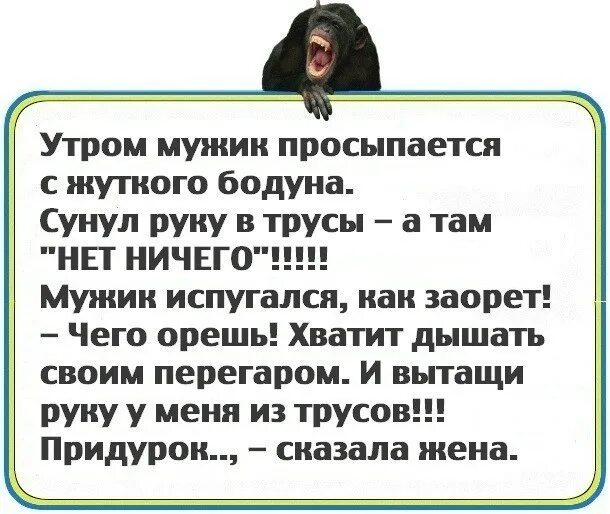 Тексты бодун. Просыпается мужик с бодуна. День большого бодуна. Жуткие анекдоты. Чувак просыпается с бодуна анекдот.