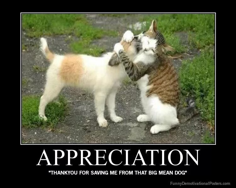 Мне нравится. Сухоруков про киркорова брат 2. Люблю другого. Понравиться мужчине. Мне нравится какой то.