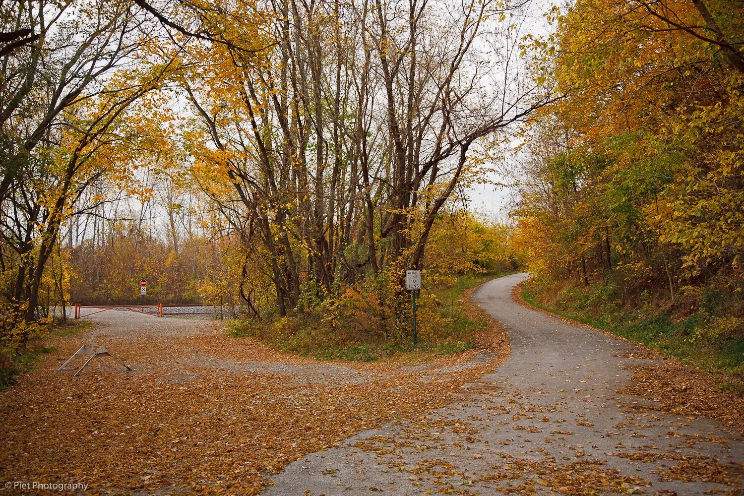 Second path