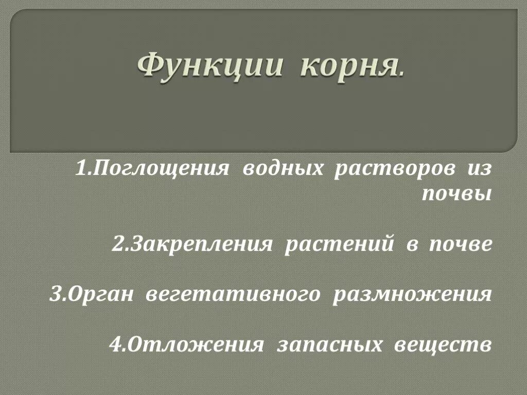 Функции корня закрепление растения в почве. Функции корня. основные функции корня. функции корневища. функции корня растений.
