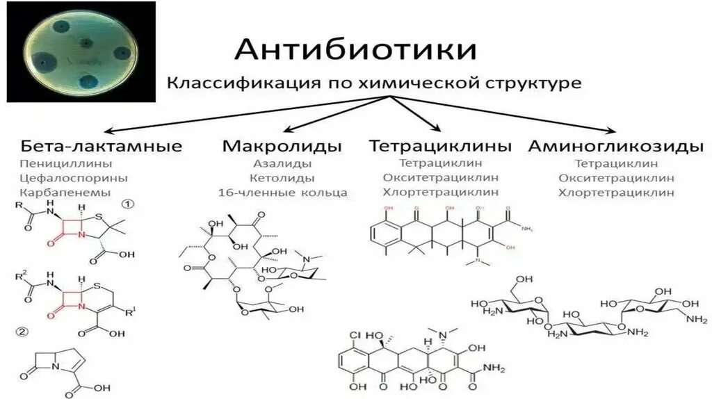 Класс пенициллинов