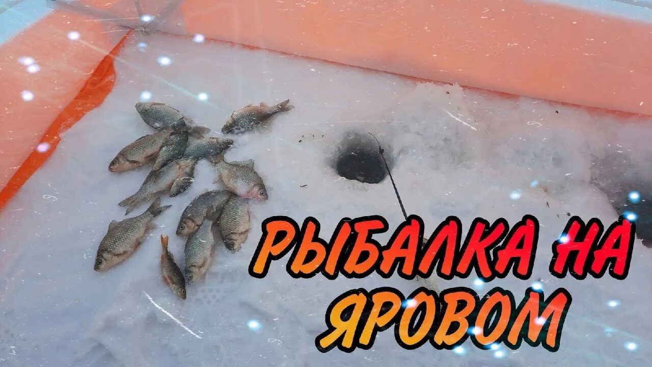 Яровое рыбалка. Озеро яровое курганская область. Озеро рыбное курганская область. Арсал яровое. Яровое рыбалка.
