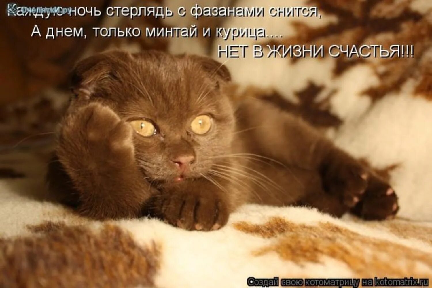 Ничего не может быть на свете