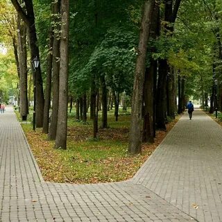 Щукинский парк фото
