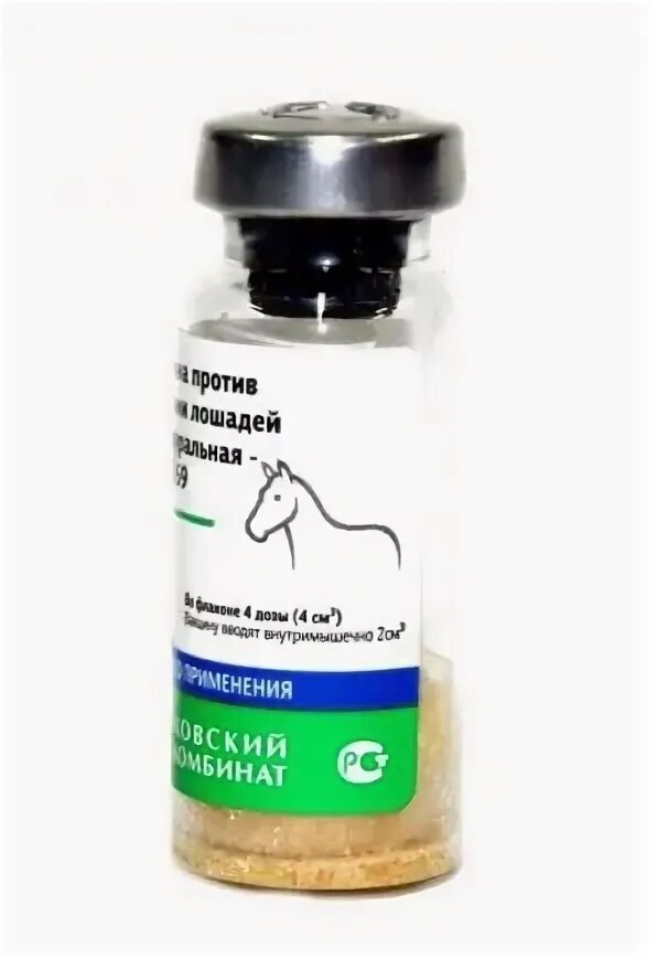 Вакцина против ринопневмонии лошадей. Пневмеквин для лошадей. Вакцина против ринопневмонии лошадей св-69. Ринопневмония лошадей. Вакцина против ринопневмонии лошадей.
