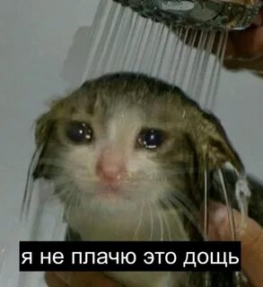 Нет я буду плакать