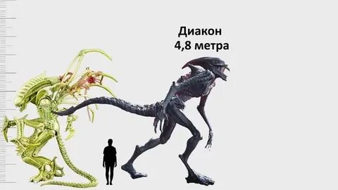 Эволюция особь