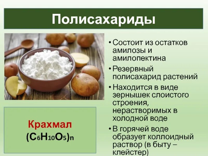 Полисахариды примеры. Целлюлоза полисахарид. Полисахариды растений. Презентация полисахариды крахмал. Биологическая роль полисахаридов.