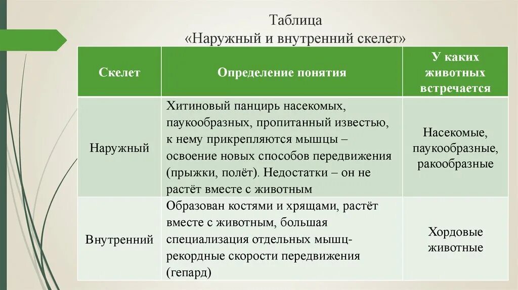 Таблица наружный скелет внутренний скелет. Внешний скелет и внутренний таблица. Особенности внутреннего скелета. Характеристики наружного скелета. Наружный скелет представители