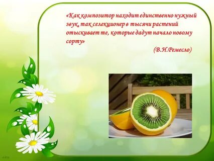 Единственно нужный