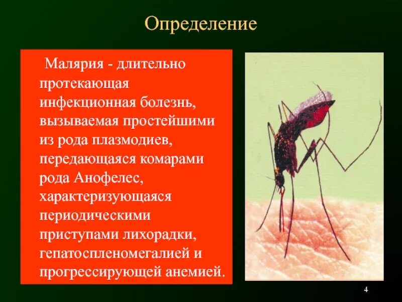 Инфекционные болезни малярийный комар. Малярия возбудитель малярийный комар. Переносчик малярии комар из рода анофелес. Малярия переносчик болезней. Заражение человека малярией происходит