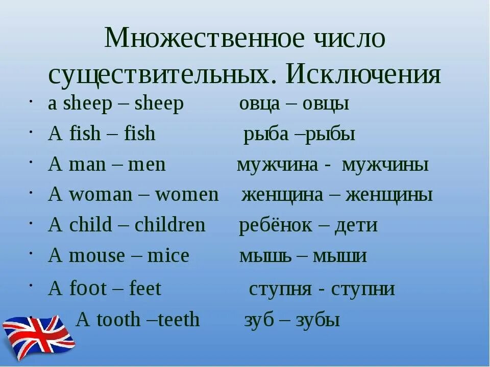 Множественное число существительных в англ языке. Существительные во множественном числе в английском языке. Множественная форма существительных в английском языке. Множественное число существительных в английском исключения. Очки во множественном числе