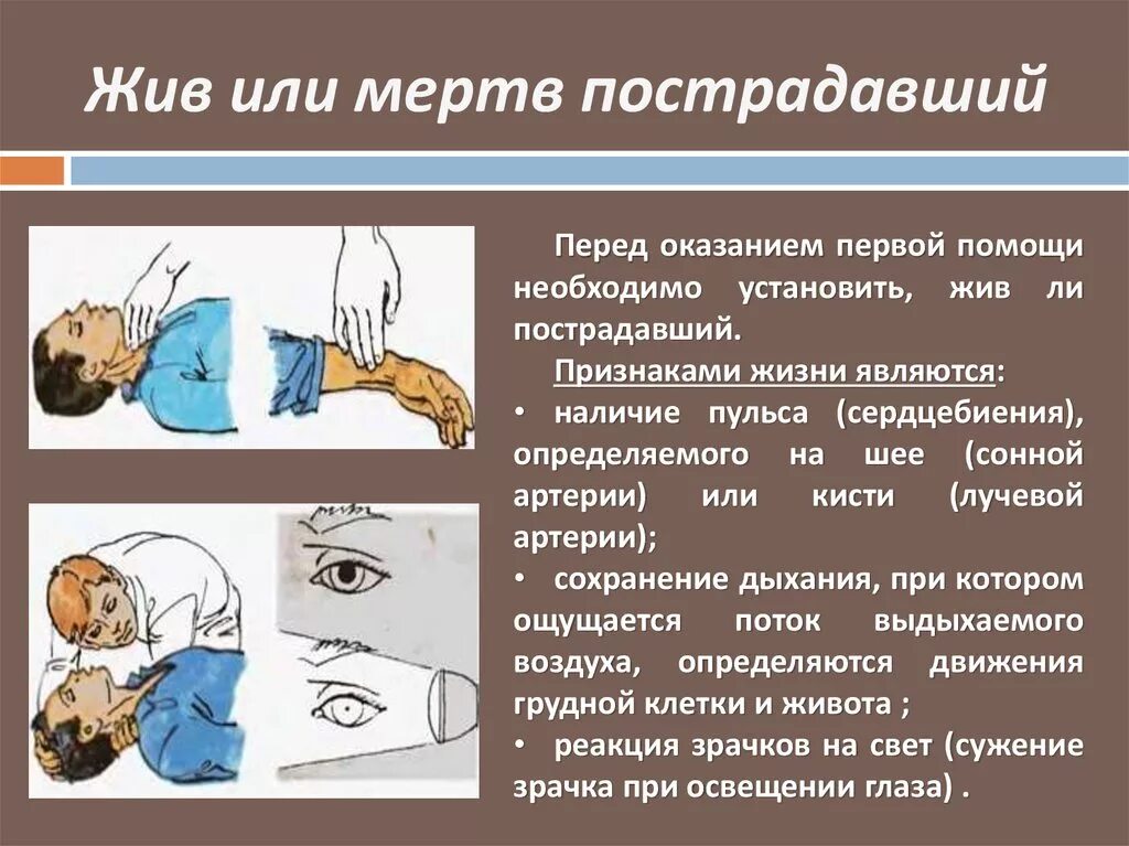 Жив мертв тест. Определение признаков жизни у пострадавшего. Определение признаков жизни у пострадавшего алгоритм. Признаки смерти пострадавшего. Оценка признаков жизни у пострадавшего.