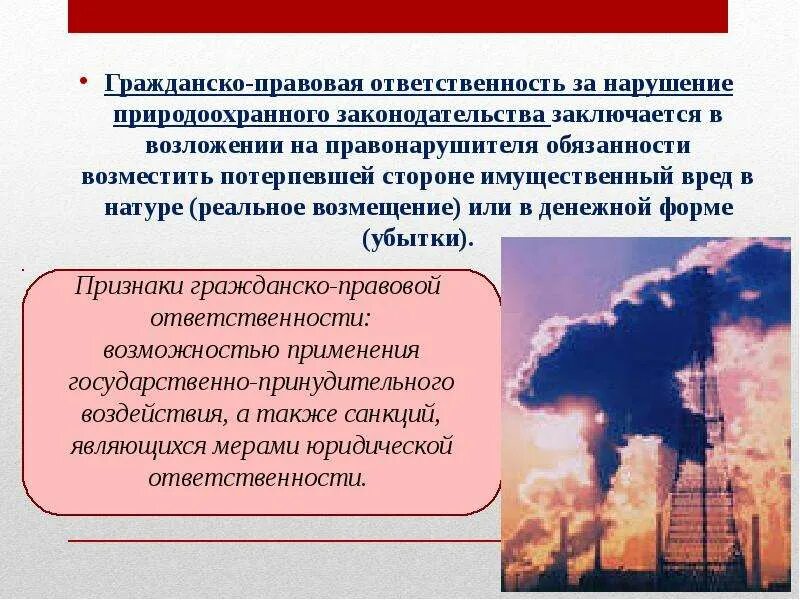 Экологическая ответственность закон. Гражданско правовая ответственность экологического правонарушения. Экологические правонарушения примеры. Гражданско-правовая ответственность за экологические нарушения.